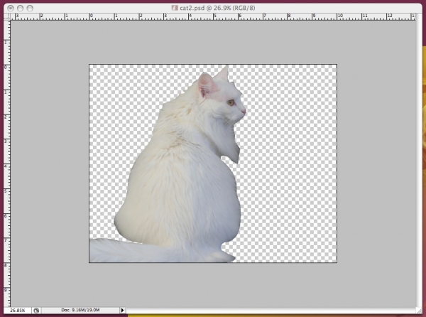 Creation of Ghost Cat: Step 1